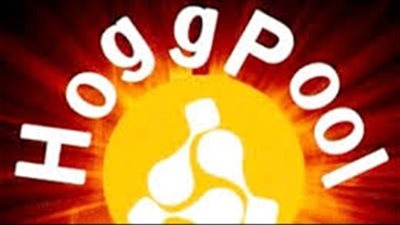 الفلوس راحت في الهوا.. إغلاق منصة هوج بول بعد الاستيلاء على 6 مليارات جنيه من المصريين