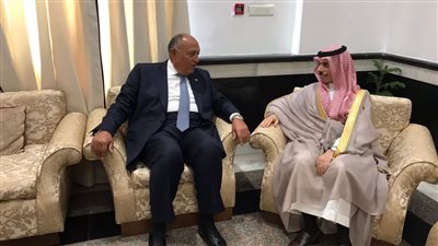 وزير الخارجية يلتقي نظيره السعودي بقمة العشرين في الهند | صور