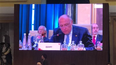 وزير الخارجية يستعرض رؤية مصر في مجال مكافحة الإرهاب أمام قمة العشرين