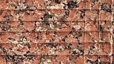 بها محاجر للجرانيت الوردي.. تعرف على أهمية مدينة أسوان في مصر القديمة 