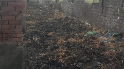 السيطرة على حريق مزرعة دواجن بالشرقية