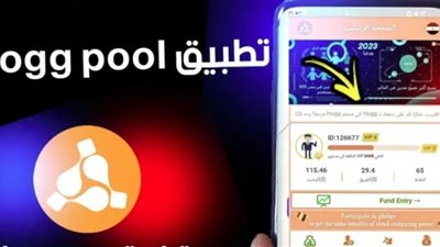 ضحايا هوج بول: خدوا من كل واحد أكثر من 15 ألف جنيه وأوهمونا بأرباح يومية | فيديو