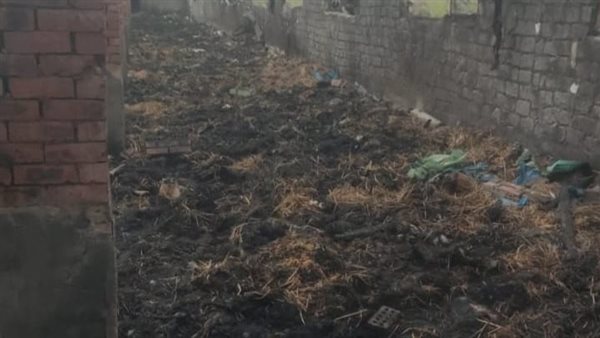 حريق مزرعة دواجن