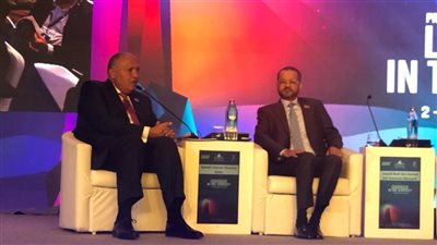 وزير الخارجية يشارك في جلسة خلال مؤتمر حوار رايسينا بالهند | صور