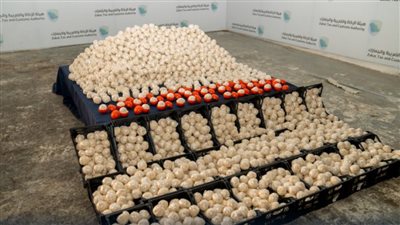 السعودية تحبط تهريب أكثر من 2 مليون حبة كبتاجون مخدرة للمملكة