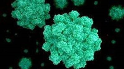 بريطانيا: ارتفاع أعداد الإصابات بـ نوروفيروس إلى 551 حالة