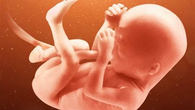 دعاء لحفظ الجنين من الموت.. أدعية حافظي عليها خلال الحمل 