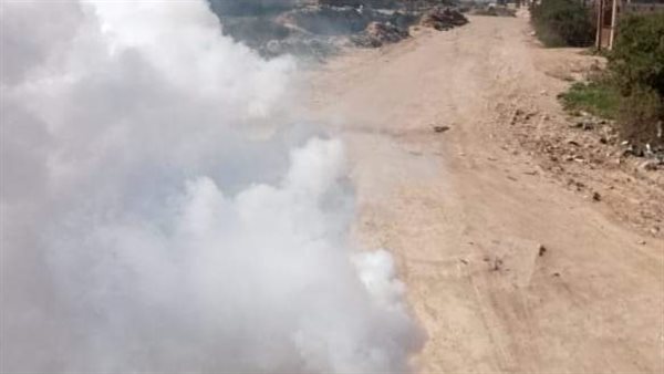 حملة تطهير فى العامرية