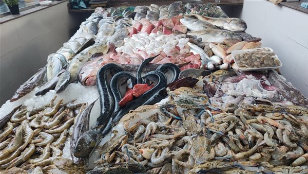 حلقة السمك بالغردقة