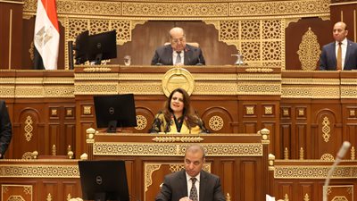 وزيرة الهجرة لـ الشيوخ: إنشاء قاعدة بيانات للمصريين بالخارج للاستفادة منهم في المشروعات القومية