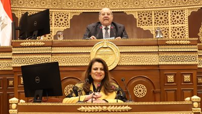 وزيرة الهجرة للمصريين في الخارج: اللي بعيد عن العين مش بعيد عن القلب