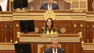  وزيرة الهجرة: نتواصل لتوفير أراض للمصريين بالخارج.. واللي بعيد عن العين مش بعيد عن القلب