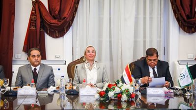 رئيس مجلس الدولة: معالجة قضايا البيئة تظل قاصرة وغير مواكبة للتقدم التكنولوجي