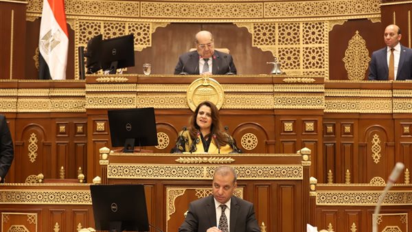 سها الجندي في مجلس