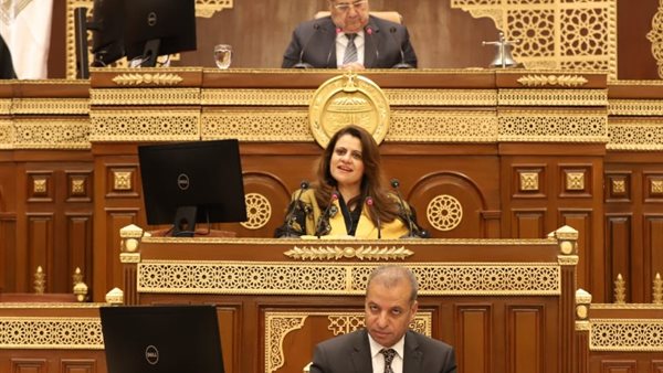 وزيرة الهجرة في البرلمان