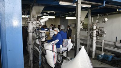 محافظ الفيوم يفتتح موسم البنجر ويتابع عمليات استلام المحصول والإنتاج