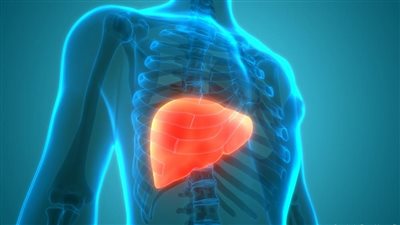 3 علامات على جلدك تشير إلى إصابتك بمرض الكبد الدهني.. تعرف عليها