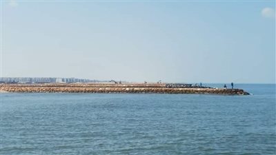 الأزهر العالمي للفتوى: الصلاة على رمال الشواطئ أو حشائش الحدائق جائزة.. ويجوز الوضوء بماء البحر