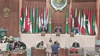 وزير الخارجية: فلسطين ستظل القضية المركزية للعالم العربي