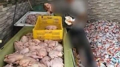 تجار يبيعون الفراخ المجمدة على أنها بانيه طازج بـ170 جنيها للكيلو.. وشعبة الدواجن ترد