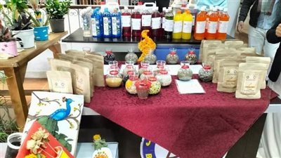 افتتاح معارض كلية الزراعة ببني سويف ضمن فعاليات الأسبوع البيئي 