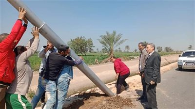  رفع كفاءة الطرق وتركيب أعمدة إنارة واستمرار زراعة أشجار بمركز أبو قرقاص بالمنيا