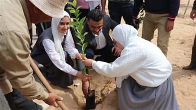رئيس جهاز السادات يشارك في زراعة الأشجار المثمرة الموزعة بالمجان على سكان المدينة
