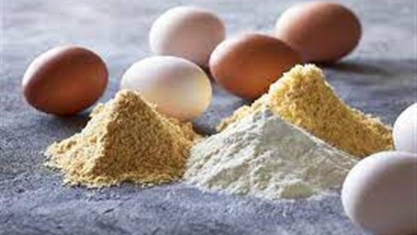 البيض البودر