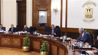 مركز معلومات مجلس الوزراء: مشروع تطوير حدائق الفسطاط يضم 8 مناطق