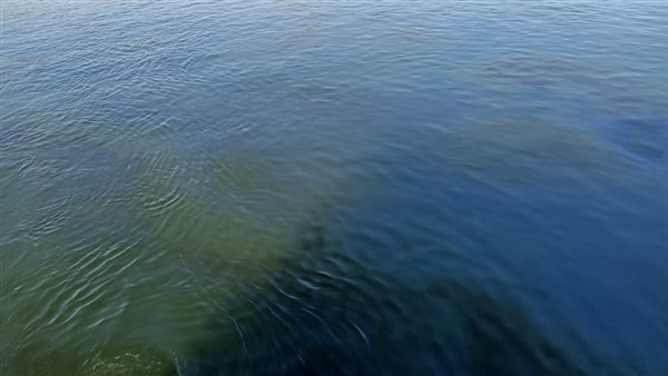 بقعة السولار 