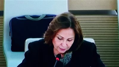 أمين عام القومي للطفولة: مصر تمتلك بنية تشريعية قوية لحماية الأطفال