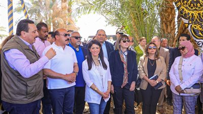 التعاون الدولي: تنفيذ 13 برنامجًا لإعادة تدوير المخلفات الزراعية بمحافظة أسوان 