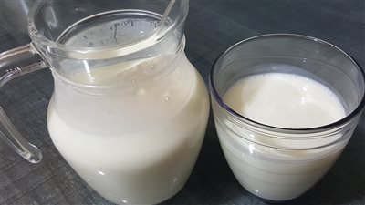 غير آمن للبشر.. الحليب الملوث بأنفلونزا الطيور ينقل العدوى للفئران