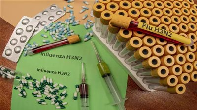 تنتشر بين الخنازير.. ولاية أوديشا الهندية تسجل 59 حالة إنفلونزا H3N2 في شهرين