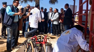 الزراعة: تطبيق تقنية الحلب الآلي على الإبل لأول مرة في مصر