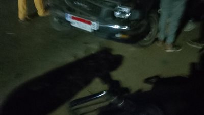 إصابة شخص في حادث تصادم بين سيارة ربع نقل وعربة كارو بالدقهلية