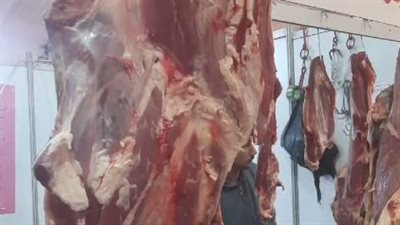 سعر كيلو اللحمة في مصر اليوم الاثنين 13 مايو 2024