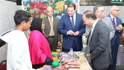 وزير المالية: تحفيز المشروعات الصغيرة ومتناهية الصغر لتعزيز النمو الاقتصادي