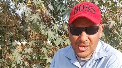 سنّان سكاكين بطنطا: بشتغل من 10 الصبح.. والسكر خلاني مش قادر أشتغل زي الأول| بث مباشر 