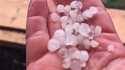 سقوط أمطار وثلوج على محافظة المنوفية| فيديو