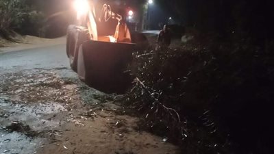 سقوط أشجار في المنوفية بسبب موجة الطقس السيئ