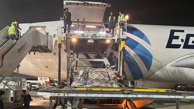 80 طنًا.. وصول أول طائرة لحوم من تشاد لعرضها في الأسواق بأسعار مخفضة