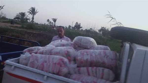 حملات تفتيشية بالمنيا