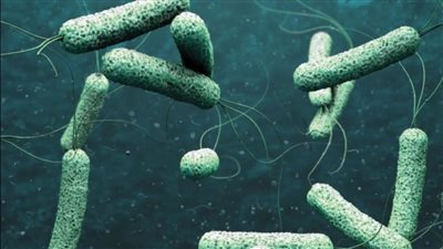 باكستان تشهد ارتفاعا قياسيا في إصابات الكوليرا