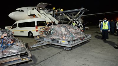 بإجمالي 600 ألف طن.. مصر للطيران تنقل شحنات اللحوم المبردة من تشاد إلى مصر