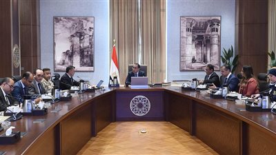 الحكومة: إجراءات مهمة ساهمت في نمو حركة السياحة إلى 11.7 مليون سائح وافد