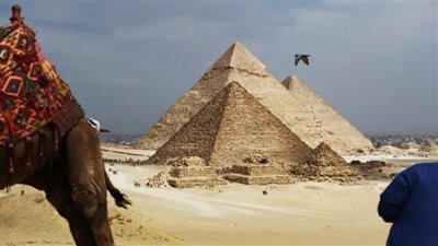 السياحة تكشف حقيقة غلق الأهرامات جزئيًا بسبب التطوير