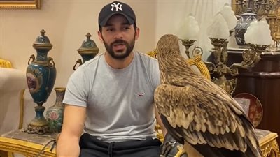 رامز أمير يشكك في حديث الرسول بقتل الحدأة: هل منطقي ربنا يخلق كائنًا ويأمرنا بقتله؟