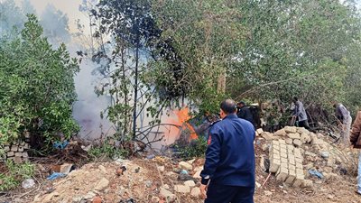 السيطرة على حريق في مشتل بالقنطرة غرب الإسماعيلية 
