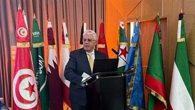 أيمن عاشور: التقنيات الرقمية تساعد على تعزيز القدرات البحثية لمؤسسات التعليم العالي